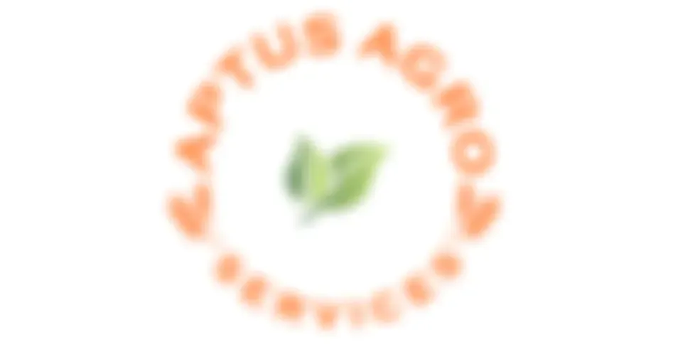 Wheat fertilizer recommendation_Fertilization after wheat sowing_گندم بوائی کے بعد کھادوں کا استعمال