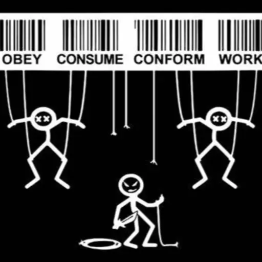Conform For Will