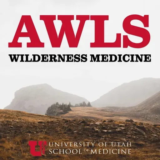 Altitude Illness and Rescue on Aconcagua
