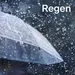 104.6 RTL - Regen