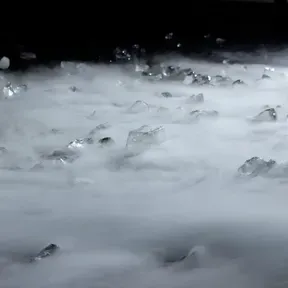 ORELLAPANXA