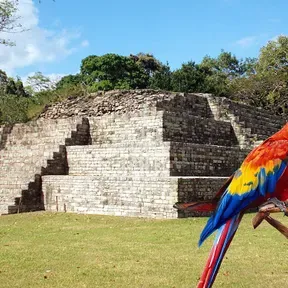 Catrachos en el norte