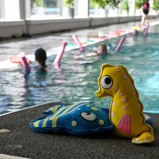 Seepferdchen erlangen bei den Schwimmabzeichentagen