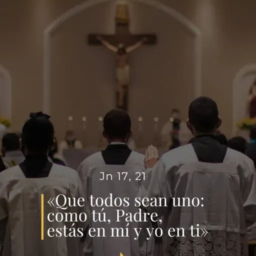 Juan 17, 20-26 - VII Jueves de Pascua 