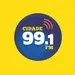Rádio Cidade 99.1 FM