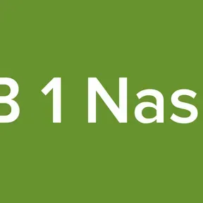 OB 1 Naspa