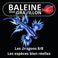 S07E17 Les Dragons 8/8 : Les espèces bien réelles (Léah Thomas-Bion)