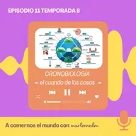 Cronobiología: el ritmo de tu cuerpo.