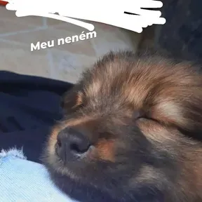 Gnoguehh
