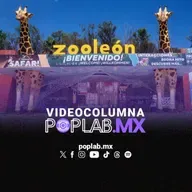 Zoo León: de los problemas a la catástrofe.