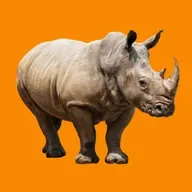 La cacca profumata