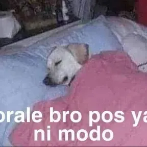 Jjhhhhhj