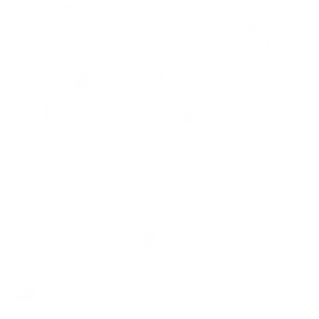 AMOR FRATERNAL