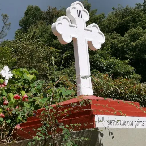 Audio-Avisos Parroquiales: 7-13 Nov 2021