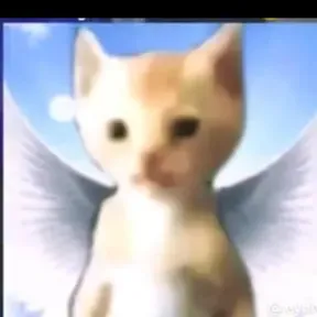 Todo bien