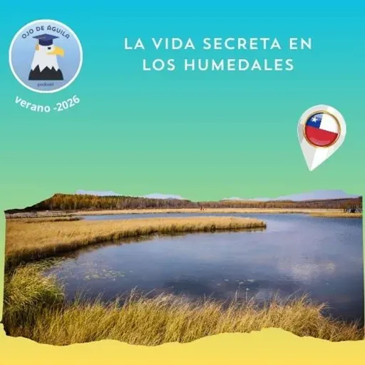 Ojo de Águila Cap 83- La vida secreta de los humedales
