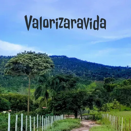 Viver para Brilhar como Minha Estrela