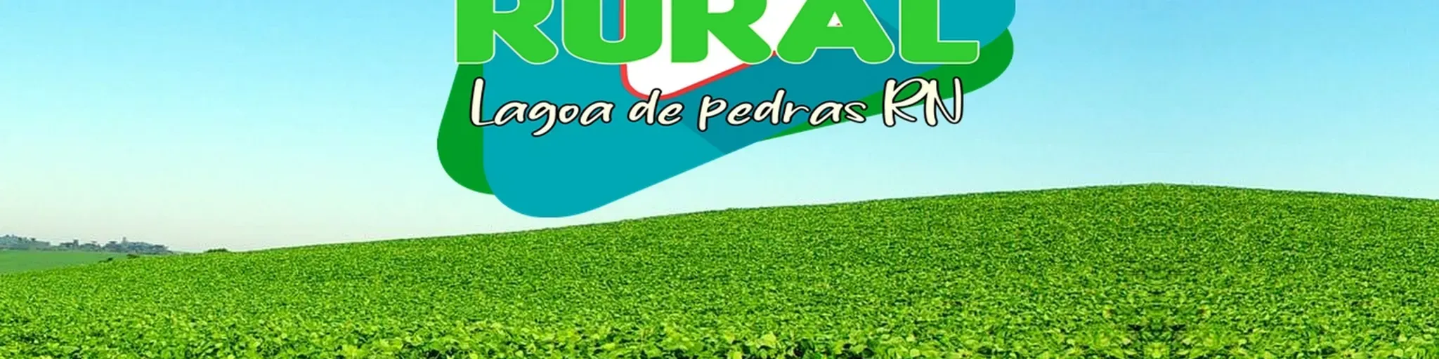 radio pedro do forro