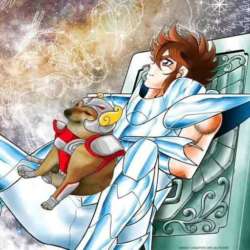 Termino el manga de Saint Seiya Next Dimensión.