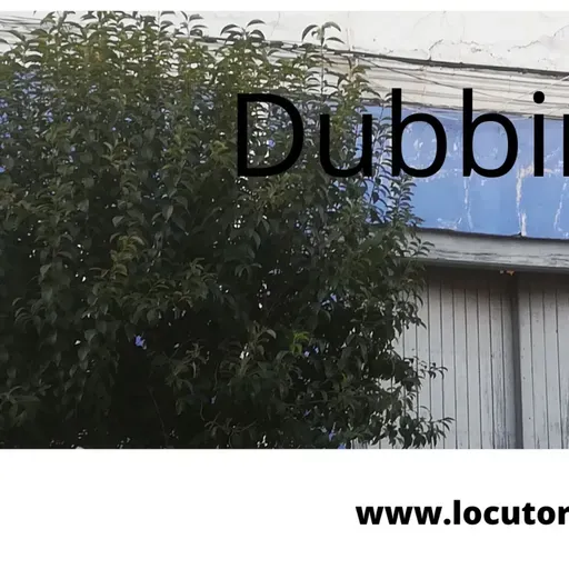 Retransmisión de la feria de falsificadores de refranes