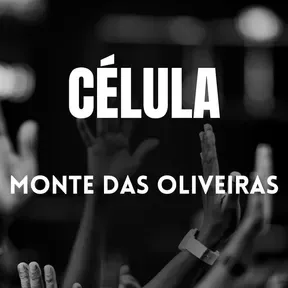 Radio Web Monte das Oliveiras
