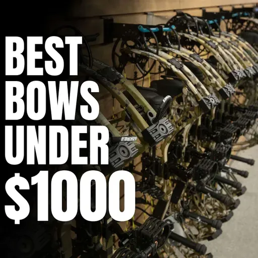 Best Mid-Price Compound Bows for 2026 (Prime, Hoyt, Bowtech, Bear)