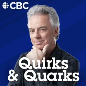 Quirks and Quarks