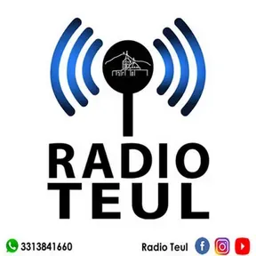 Radioteul