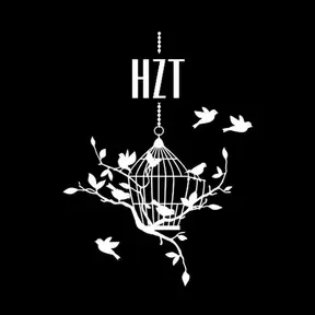 HZT Radio