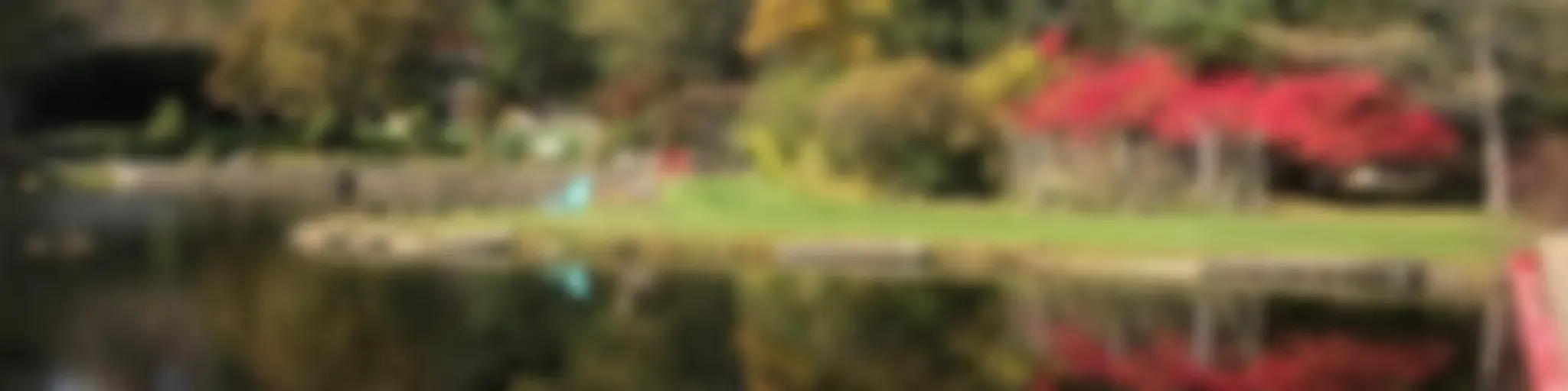 Meditación Bíblica Católica