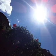 Unemi.     Noticias nacionales e internacionales