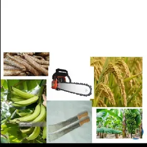 FARMERS RADIO  & TV  LIBERIA