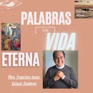 T.4 Ep. 14. Palabras de Vida Eterna. Vayan por todo el mundo y prediquen el evangelio.