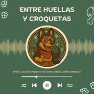 Ep.3 - Locura canina o falta de juego: ¿cómo saberlo?