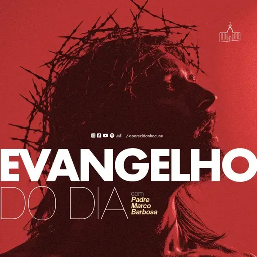 Evangelho do dia - 03/07/2025
