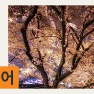 매일 10분 내로 정리하는 호주 뉴스: 12월 5일 금요일