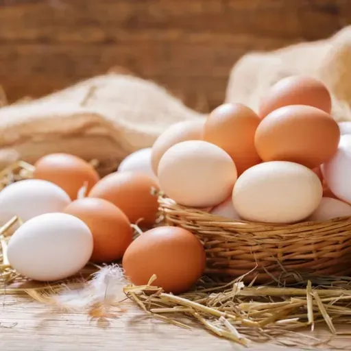 Dieta e cálculo de proteína: o que devemos ingerir ao longo do dia?