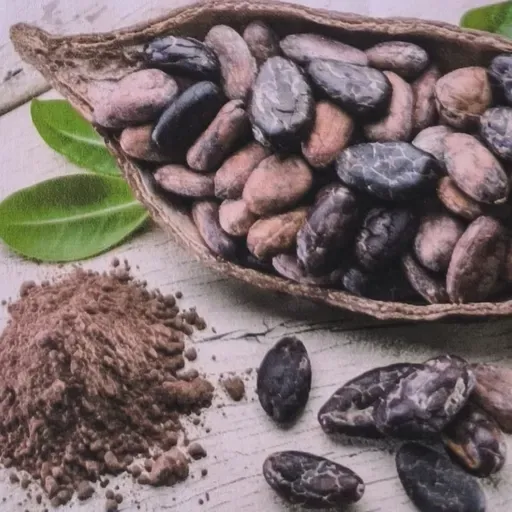 T03 E24 MUSEO DE LOS PUEBLOS LEONESES: CACAO Y CHOCOLATE