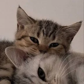 Carinha dali