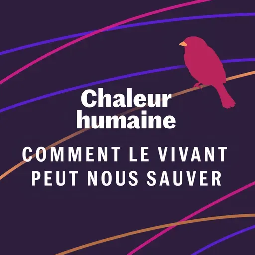 Le moineau - Comment le vivant peut nous sauver (5/6)