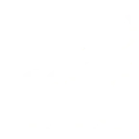 Iris - Polaroid Radio