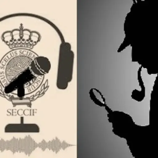 Detectives Privados