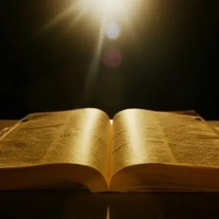 082 - O Prazer da Meditação da Palavra. |  07.Jan.2021