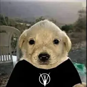 Wiros.fm