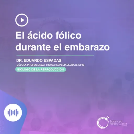E146 - El ácido fólico durante el embarazo