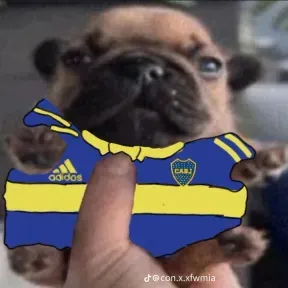 Boca juniors