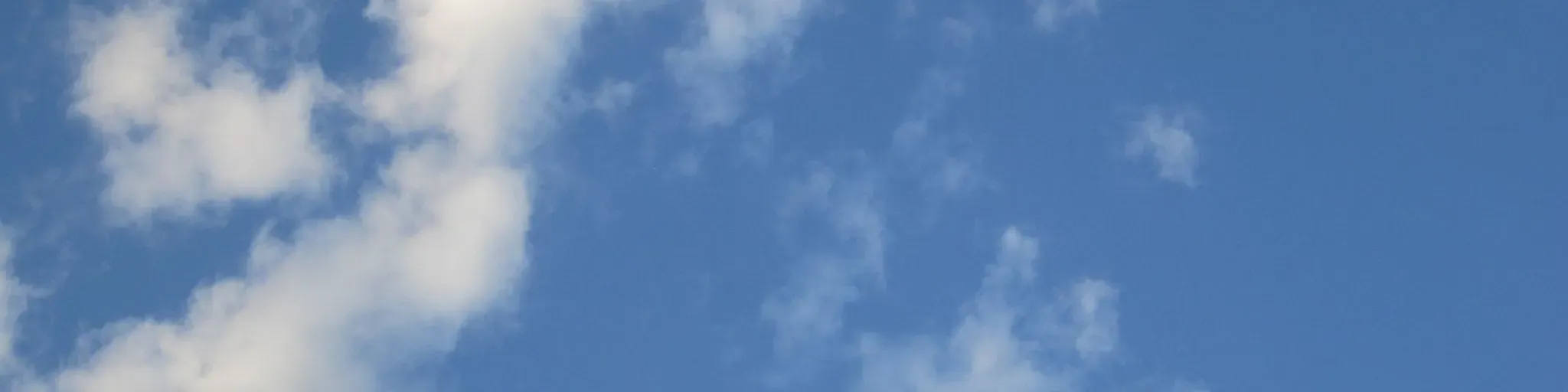 CWTZW66