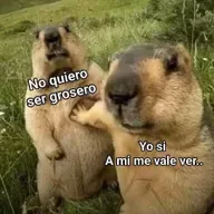 EP120 SNOW casi se convierte en caos… y la comunidad la transformo en fiesta epica.