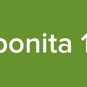 radio la bonita 102.9 fm