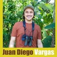 Juan Diego Vargas (Costa Rica) en Charlas Pajareras # 115